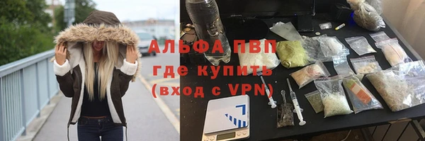 индика Верхний Тагил