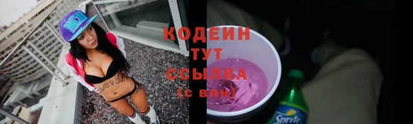индика Верхний Тагил