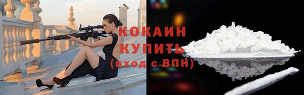 индика Верхний Тагил