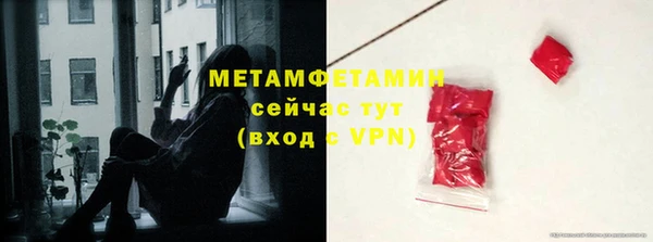 индика Верхний Тагил