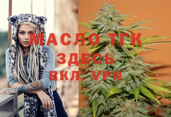 индика Верхний Тагил