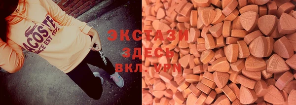 индика Верхний Тагил