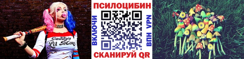 KRAKEN онион  Ростов  Псилоцибиновые грибы мицелий 